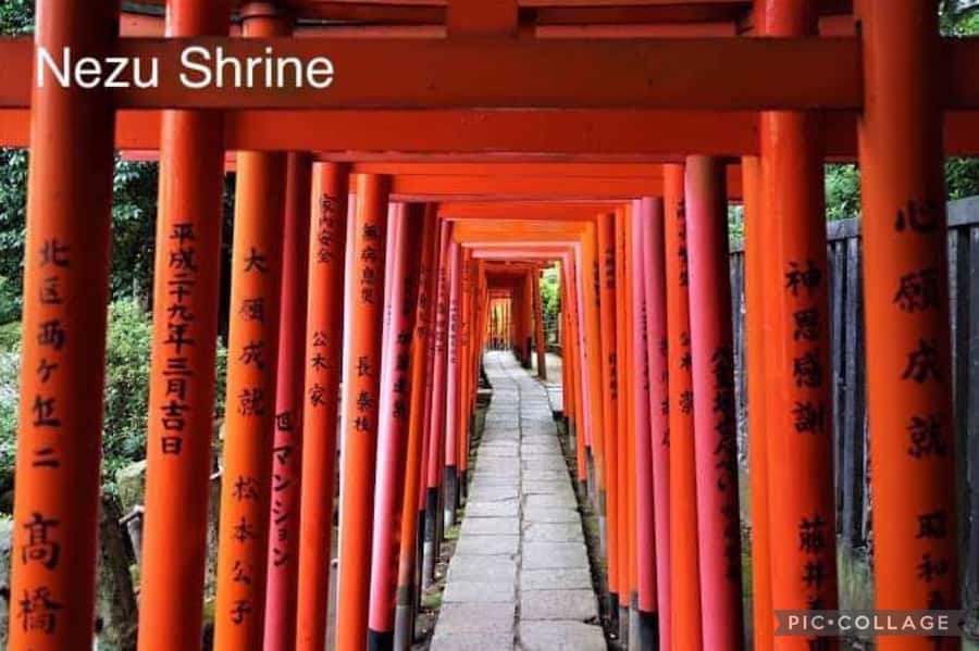 Tokyo: Private Full-Day Sightseeing Tour with Hotel Pickup - Key points at a glance