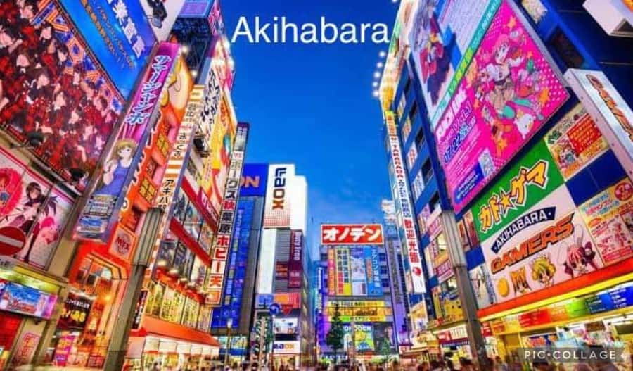 Tokyo: Private Full-Day Sightseeing Tour with Hotel Pickup - The Imperial Palace and Tokyo’s grand center