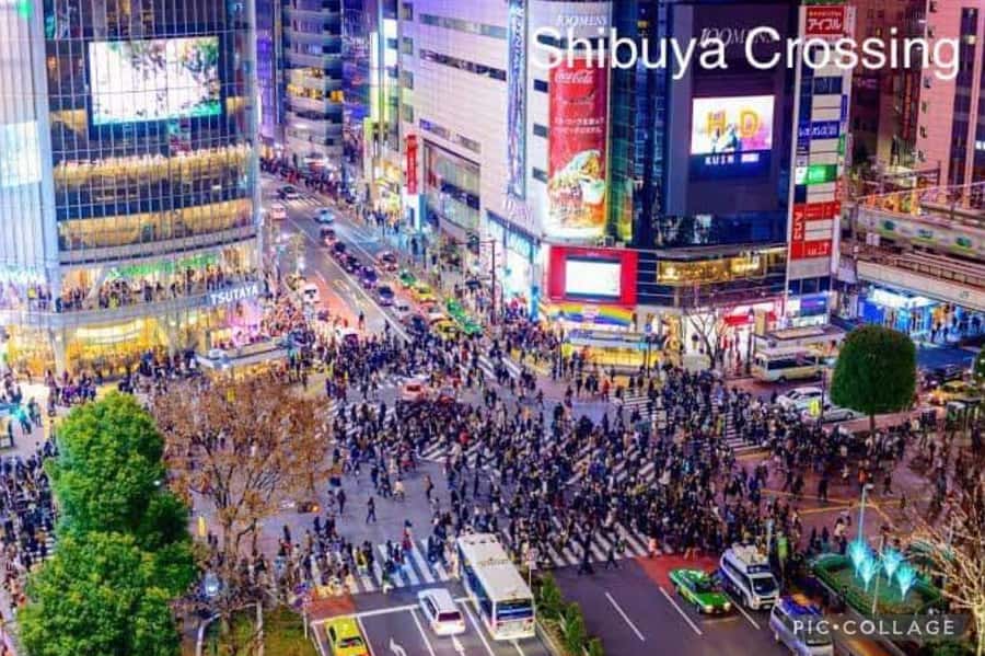 Tokyo: Private Full-Day Sightseeing Tour with Hotel Pickup - Tsukiji for seafood and street-level Tokyo