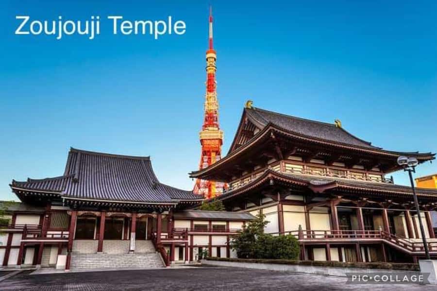 Tokyo: Private Full-Day Sightseeing Tour with Hotel Pickup - teamLab Borderless and modern Tokyo