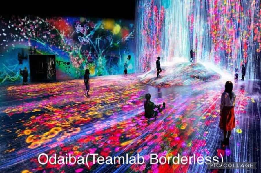 Tokyo: Private Full-Day Sightseeing Tour with Hotel Pickup - Shibuya Crossing and the Hachikō statue