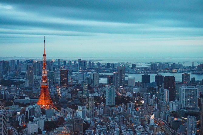 Tokyo Private Full-Day Tour by Car or Van - Tsukiji Outer Market: plan for a late breakfast