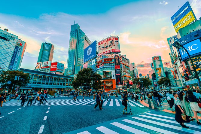 Tokyo Private Full-Day Tour by Car or Van - Driver-escort or proper guide: book the right service