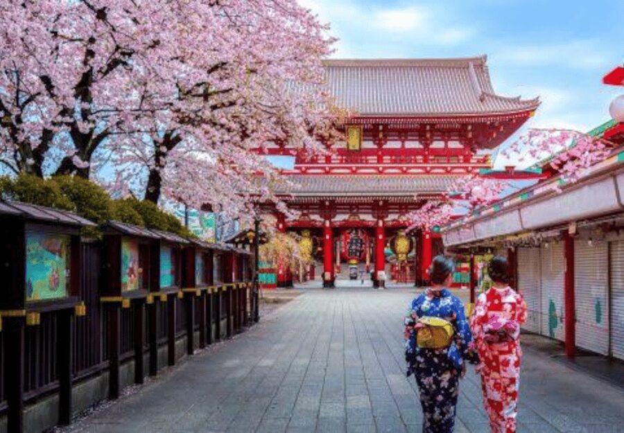 Tokyo: Private Guided Tour with Hotel Pickup and Drop-off - What the guides add to the day