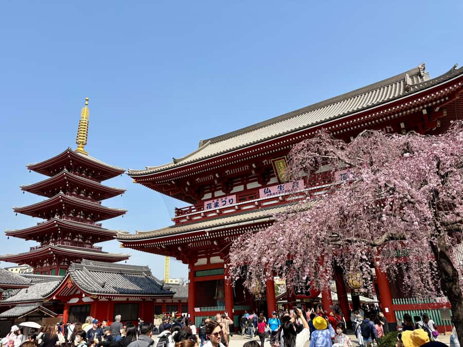 Tokyo: Private Half-Day Highlights Tour by Car with Guide - Why a private car helps in spread-out Tokyo