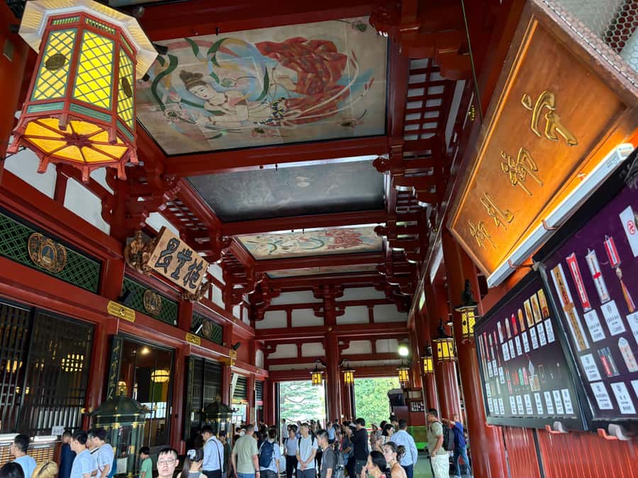 Tokyo: Private Half-Day Highlights Tour by Car with Guide - Who will get the most from this half-day tour?