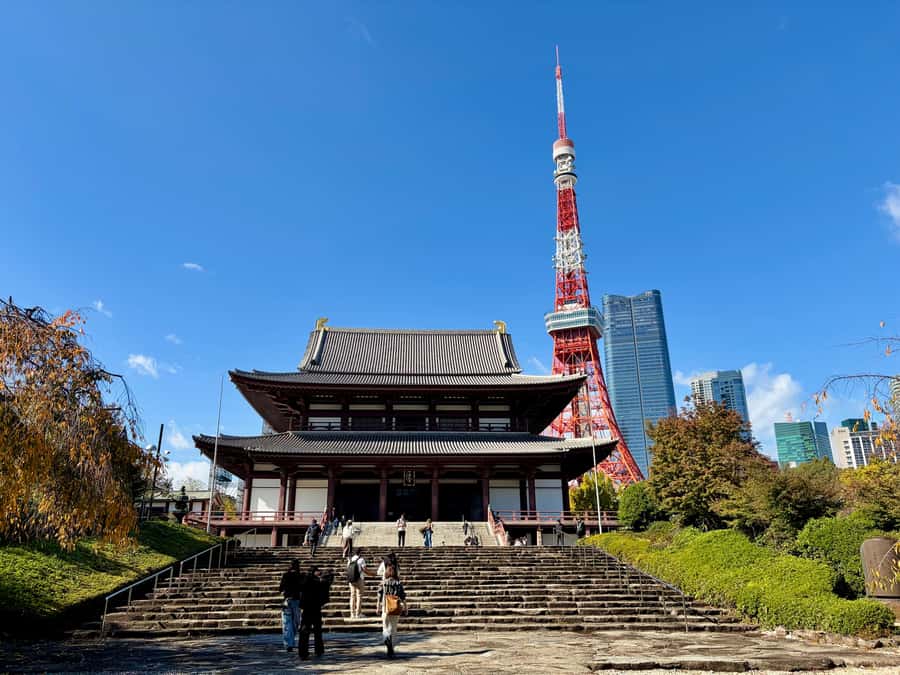Tokyo: Private Half-Day Highlights Tour by Car with Guide - The Imperial Palace area and Nijubashi Bridge