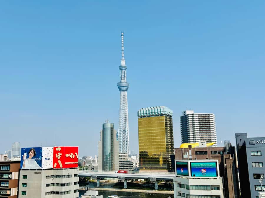 Tokyo: Private Half-Day Highlights Tour by Car with Guide - Tokyo Tower and Tsukiji from the car window