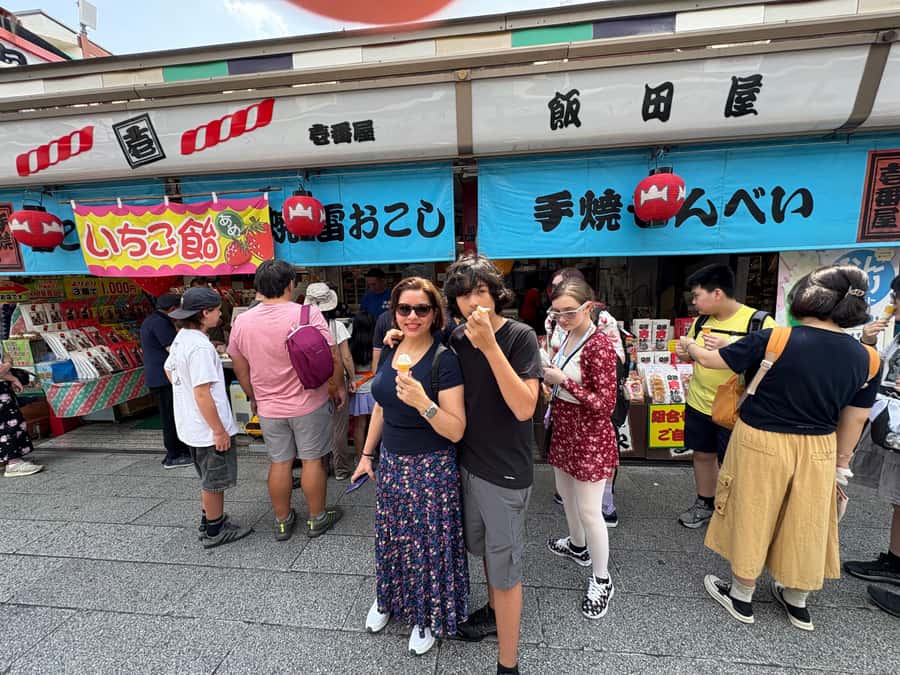 Tokyo: Private Half-Day Highlights Tour by Car with Guide - What the guide adds to the sightseeing