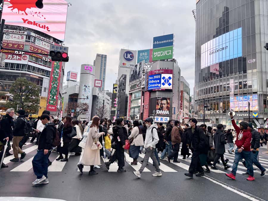 Tokyo: Private Half-Day Highlights Tour by Car with Guide - Comfort, timing, and the limits of the route