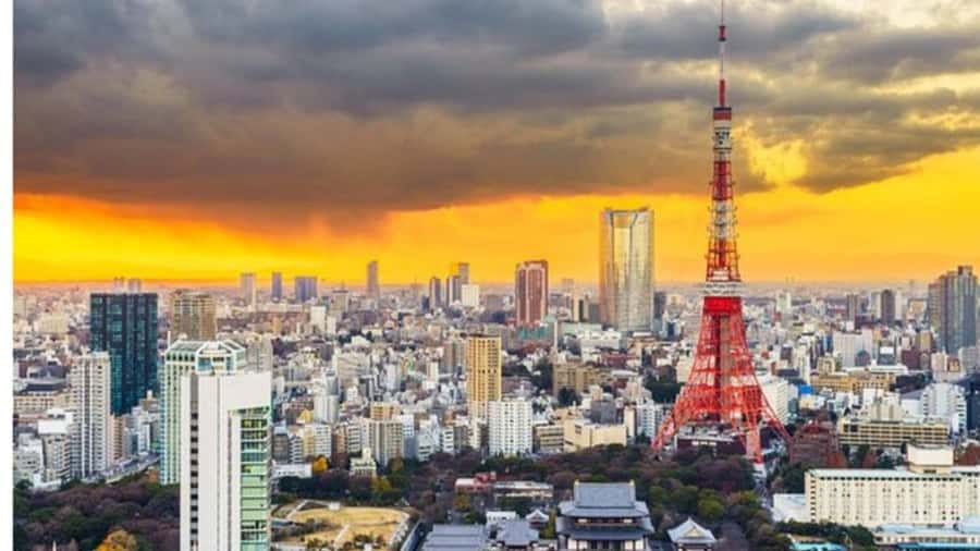 Tokyo: Private Instagramable Customised Tokyo City Day Tour - Why a private car makes sense in Tokyo