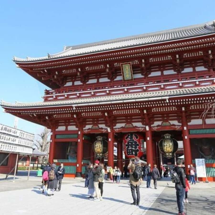 Tokyo: Private Instagramable Customised Tokyo City Day Tour - Making the $421 group price work