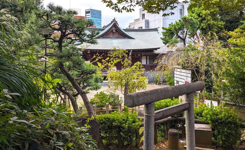 Tokyo: Private Morning Run with Sento Bath Experience - Why this early Tokyo run feels different