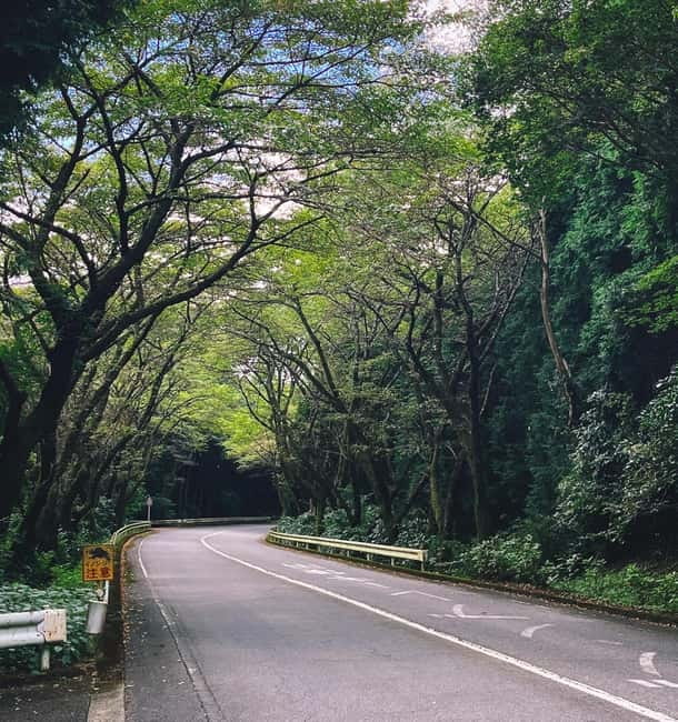 Tokyo: Private Motorcycle Day Trip to Fuji and Hakone: Onsen - The Hakone Open-Air Museum as an optional finish