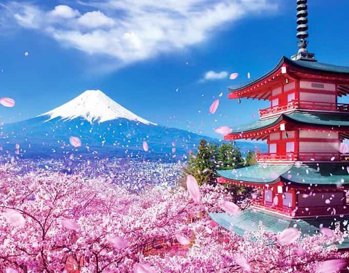 Tokyo: Private Mount Fuji and Hakone Day Trip with Guide - Key points to know before booking