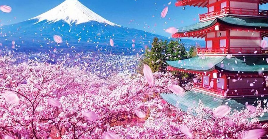 Tokyo: Private Mount Fuji and Hakone Day Trip with Guide - Crossing into Hakone at Lake Ashi