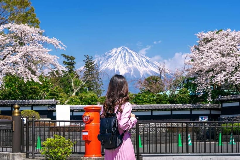 Tokyo: Private Mount Fuji Day Trip with Private Guide - Key points to know before booking