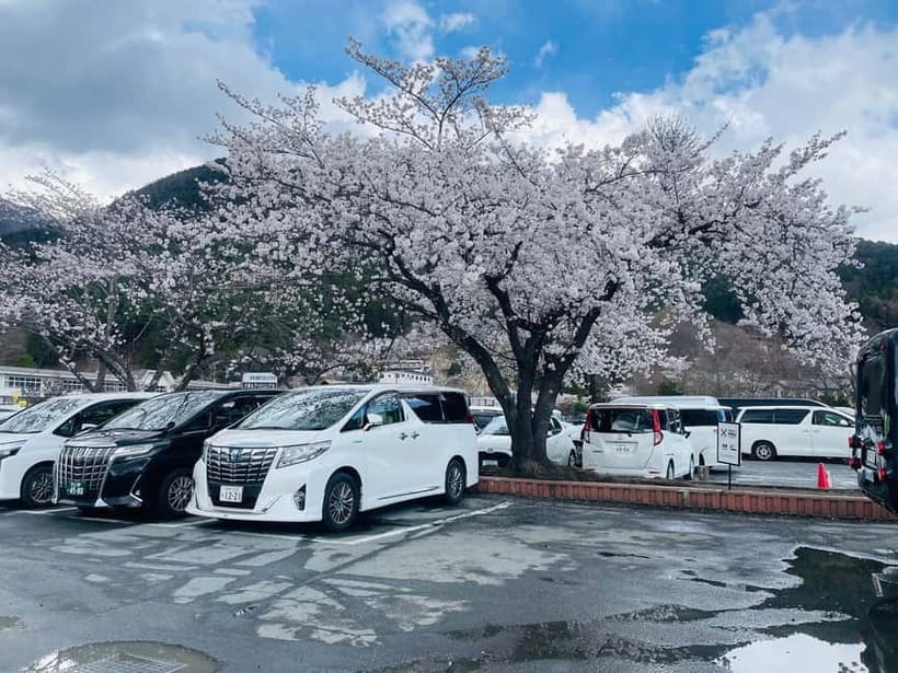 Tokyo: Private Mount Fuji Day Trip with Private Guide - Optional onsen, sake, and extra stops