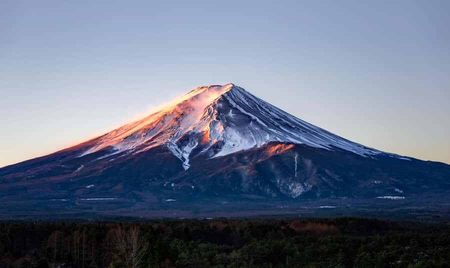 Tokyo: Private Mt.Fuji Day Trip with English-Speaking Driver - Pickup, vehicle, and the real cost of the day