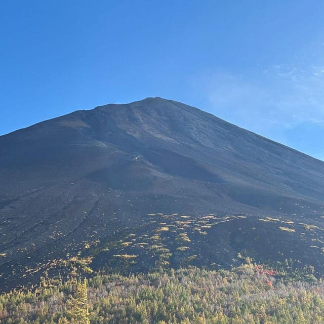 Tokyo: Private Mt. Fuji Luxury Day Tour – Fully Customizable - Weather, clothing, and comfort