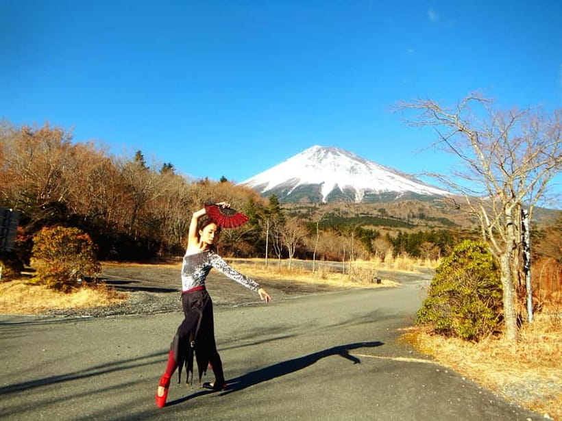 Tokyo: Private Mt. Fuji Luxury Day Tour – Fully Customizable - Why a private Fuji day works better than a fixed bus route