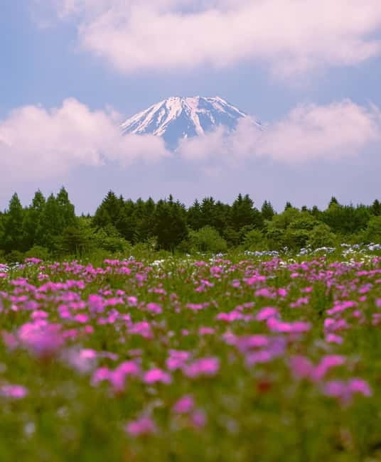 Tokyo: Private Mt. Fuji Luxury Day Tour – Fully Customizable - Chureito Pagoda: the classic Fuji photograph