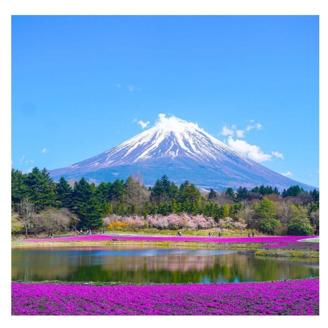 Tokyo: Private Mt. Fuji Luxury Day Tour – Fully Customizable - Optional stops: caves, village crafts, shopping, and Hakone