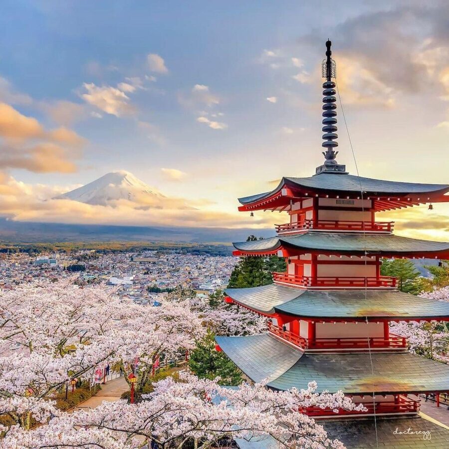 Tokyo: Private Mt. Fuji Luxury Day Tour – Fully Customizable - The driver-guide makes the flexible plan work