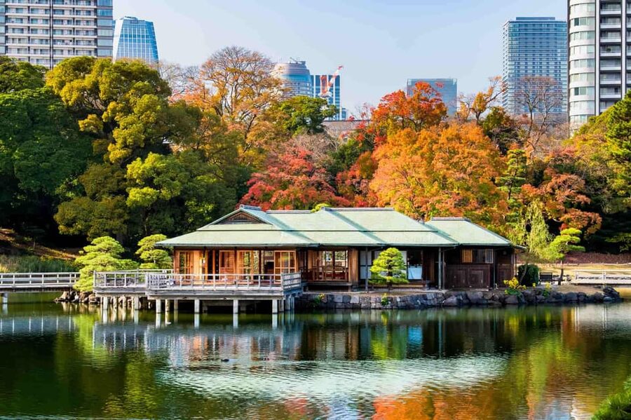 Tokyo: Private Night Tour with English-Speaking Driver - The Four-Hour Route Keeps the Night Simple