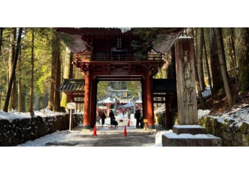 Tokyo: Private Nikko Sightseeing Tour In Luxury Land Cruiser - Key points to know before booking