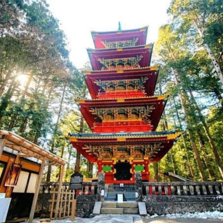 Tokyo: Private Nikko World Heritage Instagramable Day Tour - Who should book this Nikko day trip?