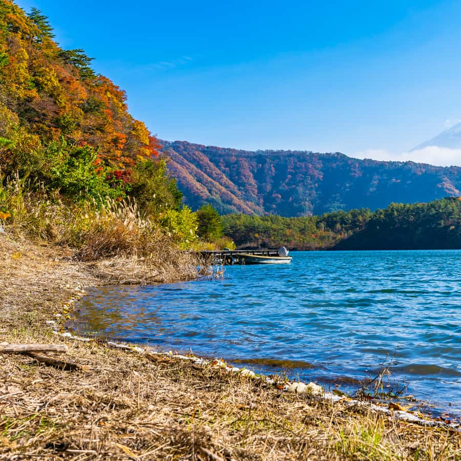 Tokyo: Private Nikko World Heritage Instagramable Day Tour - Lake Chuzenji and the high country