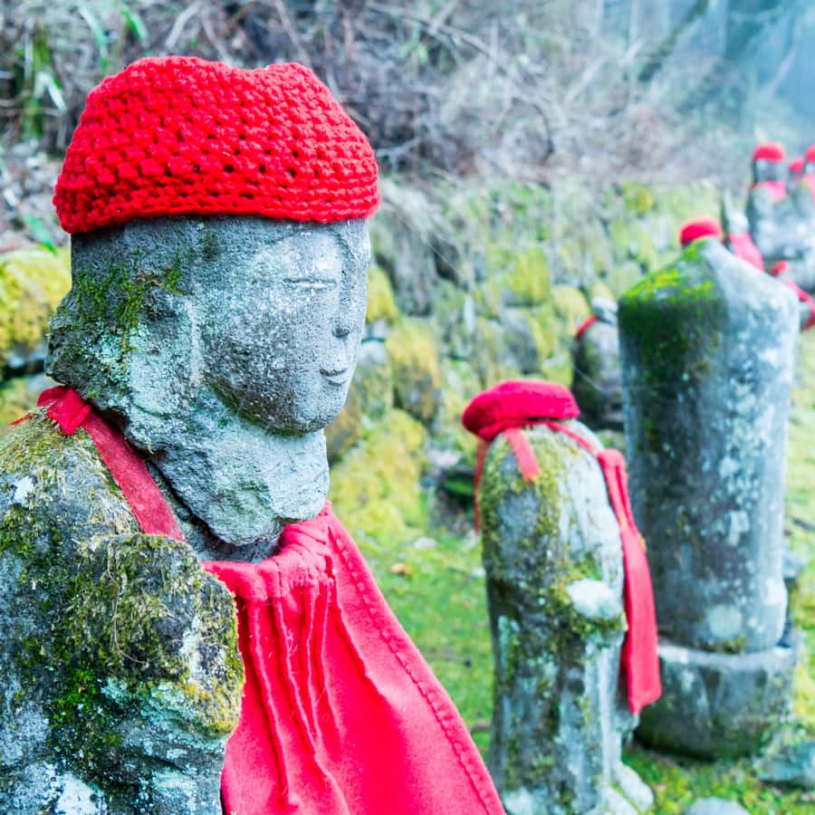 Tokyo: Private Nikko World Heritage Instagramable Day Tour - Kegon Falls and the value of a private vehicle