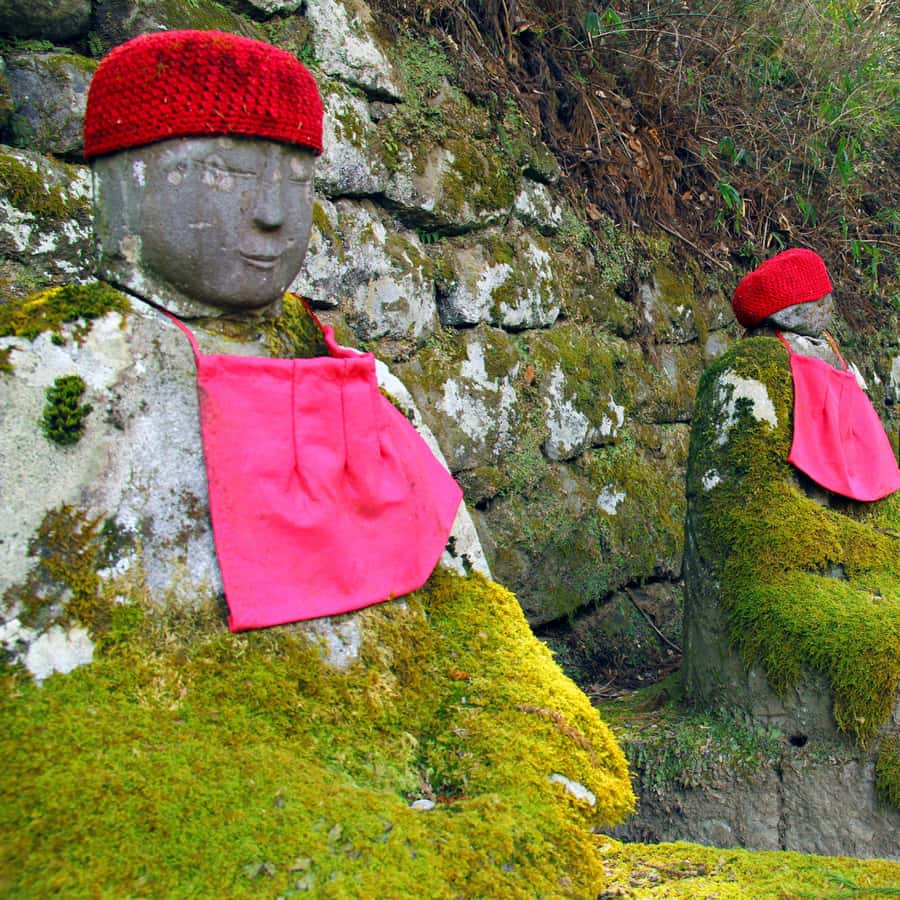Tokyo: Private Nikko World Heritage Instagramable Day Tour - What the driver adds to the day