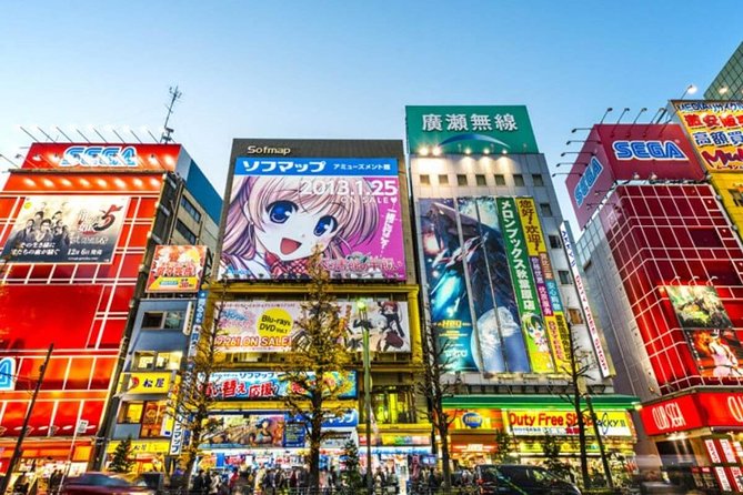 Tokyo Private Off-Beat Tour Hidden Oddities & Icons with a Local - Key points at a glance