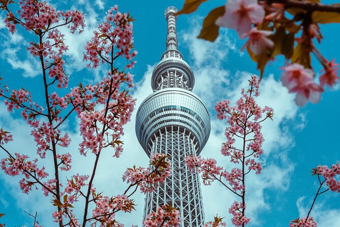 Tokyo Private Sightseeing Tour by Car- English speaking chauffeur - Odaiba and Shibuya Crossing: the day’s biggest contrasts