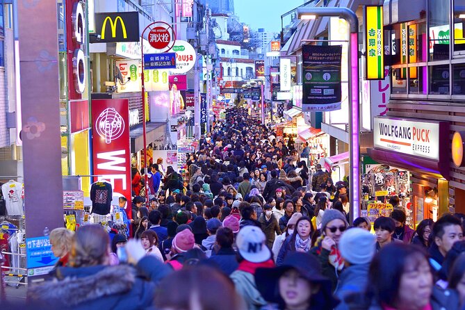 Tokyo Private Sightseeing Tour by Car- English speaking chauffeur - The itinerary is ambitious, so choose your priorities