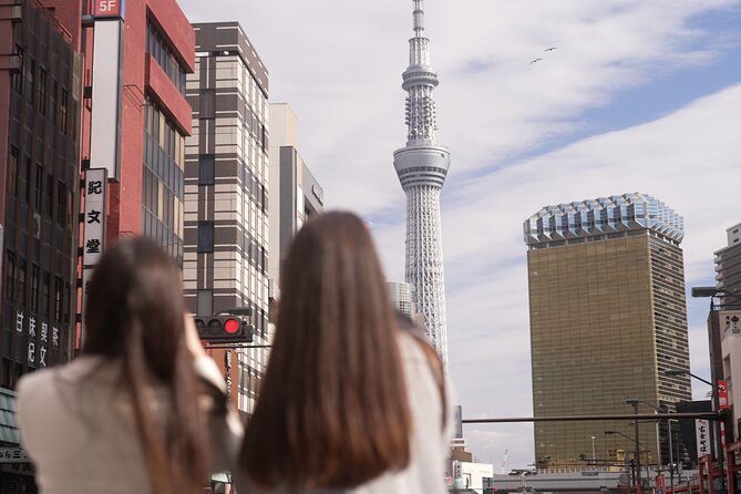 Tokyo Private Sightseeing Tour by Car- English speaking chauffeur - Imperial Palace: gardens, walls, and limited time