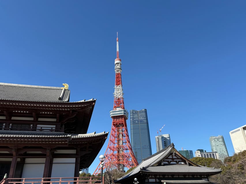 Tokyo: Private Sightseeing Tour by Car with Local Guide - Why a private car helps in sprawling Tokyo