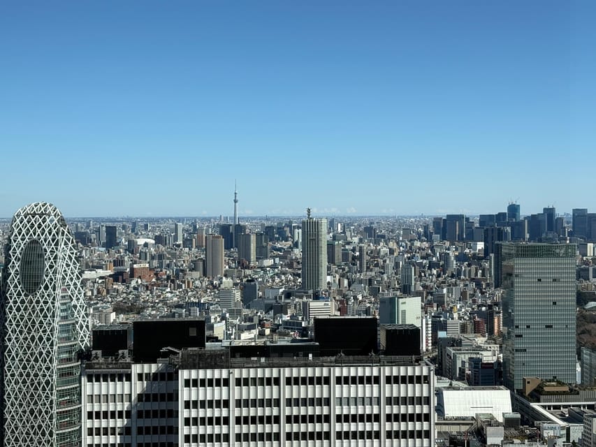 Tokyo: Private Sightseeing Tour by Car with Local Guide - Shibuya Crossing and the Hachiko Statue