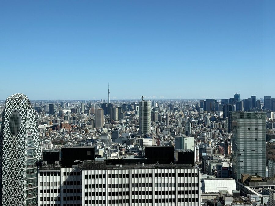 Tokyo: Private Sightseeing Tour by Car with Local Guide - Optional stops for a more personal day