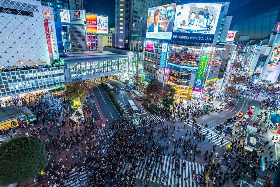 Tokyo Private Sightseeing Tour W/English Speaking Driver - Akihabara closes with anime, electronics, and games