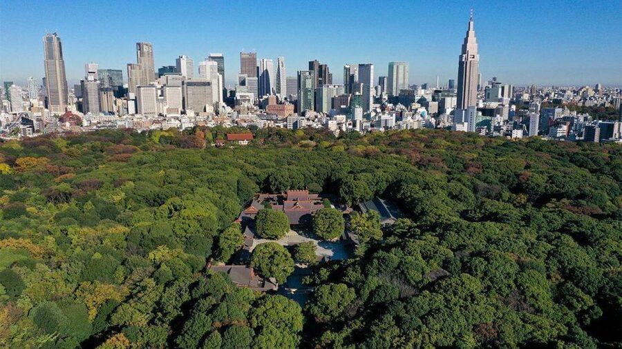 Tokyo Private Sightseeing Tour W/English Speaking Driver - Skytree adds the day’s big view