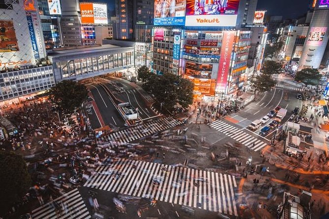 Tokyo Private Sightseeing Tour with English Speaking Driver - Tsukiji for a Quick Food Break