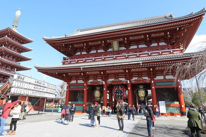 Tokyo Private Sightseeing Tour with English Speaking Driver - Meiji Jingu, Tokyo’s Quiet Center