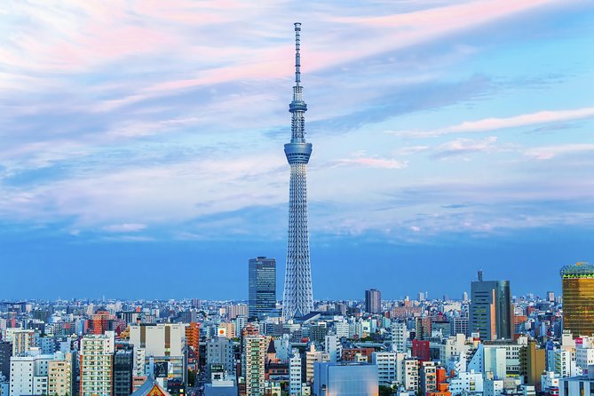 Tokyo Private Sightseeing Tour with English Speaking Driver - Tokyo Skytree and the Cost of Going Up