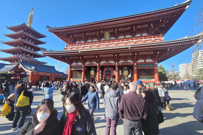 Tokyo Private Tour by Car with English speaking driver - Why a private car can make Tokyo easier