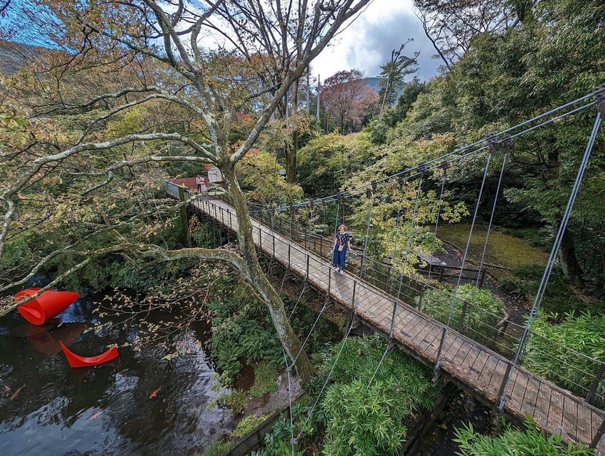 Tokyo private tour by car with pick up - Why a private van makes sense in Tokyo