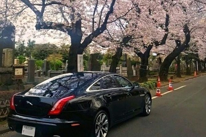 Tokyo Private Tour by Vehicle with English-Speaking Chauffeur - A smart way to connect Tokyo’s far-flung sights