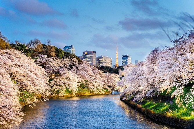 Tokyo Private Tour by Vehicle with English-Speaking Chauffeur - Senso-ji: Tokyo’s best first glimpse of old Asakusa